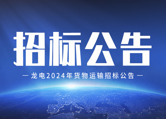 龍電2024年貨物運(yùn)輸招標(biāo)公告