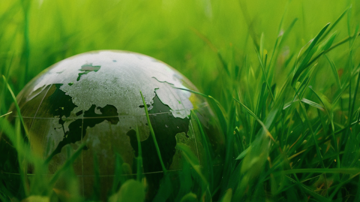 積極響應(yīng)國家綠色環(huán)保要求，我司公布2023年度碳系列認(rèn)證審核報告！