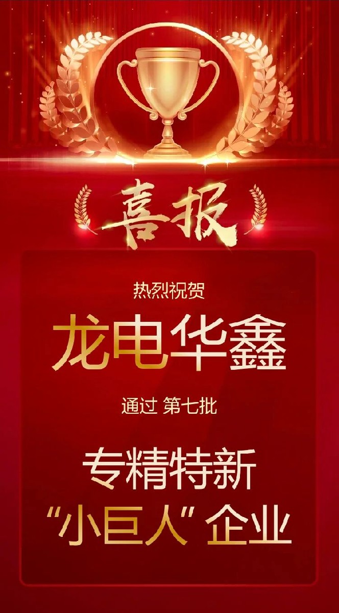 喜報(bào)！深圳龍電華鑫通過(guò)國(guó)家專(zhuān)精特新“小巨人”企業(yè)認(rèn)定